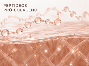 Peptídeos Pró-Colágeno