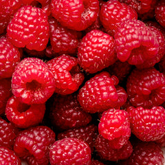 Antioxidante da Framboesa
