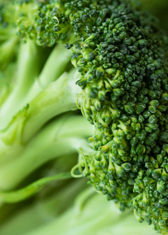 Brassicyl Valinate Esylate
